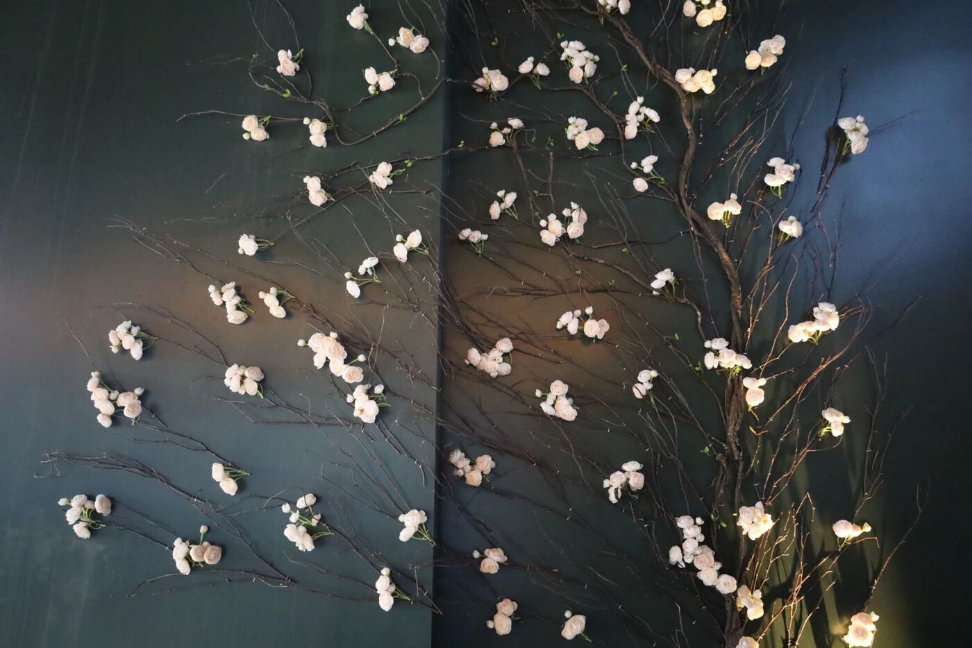 Blossom branches on Olé's green wall